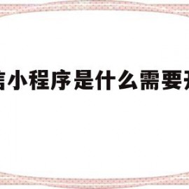 微信小程序是什么需要开发的(微信小程序制作一个需要多少钱)