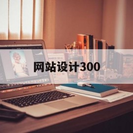 网站设计300(网站设计报价方案)