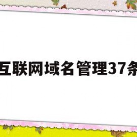 互联网域名管理37条(互联网域名管理中心)