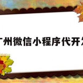 广州微信小程序代开发(广州微信小程序开发哪个好)