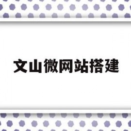 包含文山微网站搭建的词条