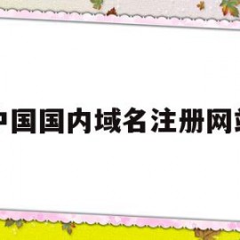 中国国内域名注册网站(国内的域名注册平台有哪几个)