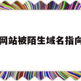 网站被陌生域名指向(两个域名指向同一个网站)