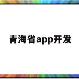 青海省app开发(青海信息技术有限公司)