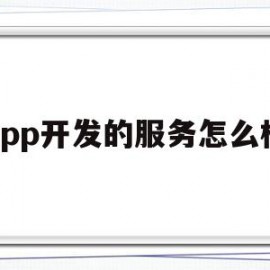 app开发的服务怎么样(app开发的服务怎么样啊)