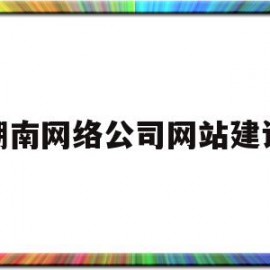 湖南网络公司网站建设(湖南网络技术有限公司)