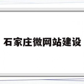 石家庄微网站建设(石家庄网站建设方案策划)