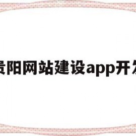 贵阳网站建设app开发(贵阳网站建设解决方案)