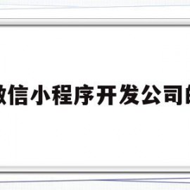 微信小程序开发公司的(微信小程序开发公司的工作内容)