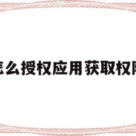 怎么授权应用获取权限(怎么授权应用获取权限密码)