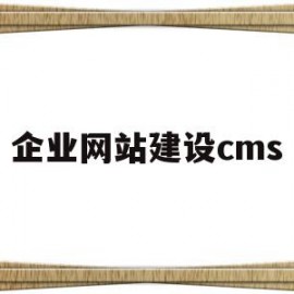 企业网站建设cms(企业网站建设排名官网)