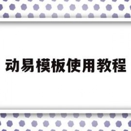 动易模板使用教程(动易软件公司怎么样)