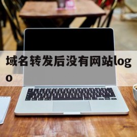 关于域名转发后没有网站logo的信息