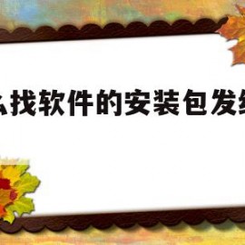 怎么找软件的安装包发给别人(怎么找软件的安装包发给别人看)