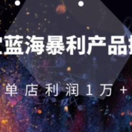 淘宝蓝海暴利产品操盘教程：从零到单店利润10000+详细实操（付费文章）