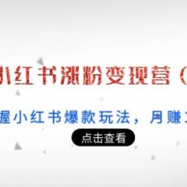 21天小红书涨粉变现营（第3期）：带你掌握小红书爆款玩法，月赚10W+秘密