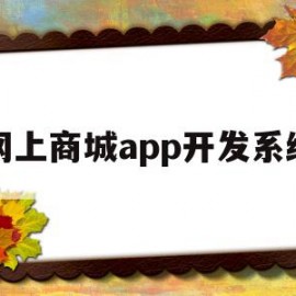 网上商城app开发系统(线上商城app制作开发需要多少钱)