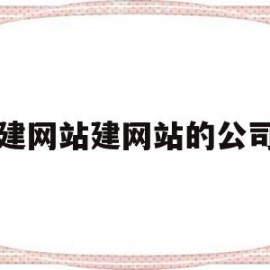 建网站建网站的公司(做网站建设公司怎么样)