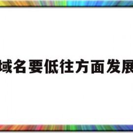 域名要低往方面发展(域名的未来发展趋势是什么?)