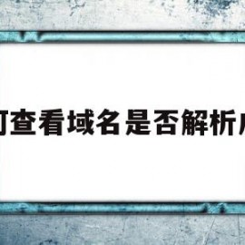 如何查看域名是否解析成功(如何查看域名是否解析成功视频)