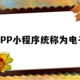 APP小程序统称为电子(小程序属于电子商务平台经营者吗)