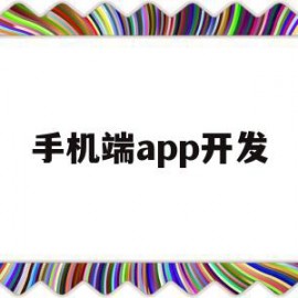 手机端app开发(手机端app开发公司)