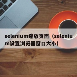 selenium缩放页面（selenium设置浏览器窗口大小）