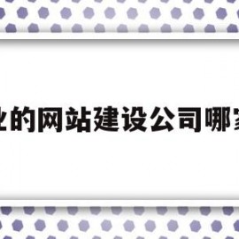 专业的网站建设公司哪家好(专业网站建设 公司)