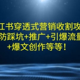 小红书穿透式营销收割攻略+防踩坑+推广+引爆流量+爆文创作等等！