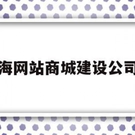 上海网站商城建设公司吗(上海网站建设在哪湖南岚鸿公 司)