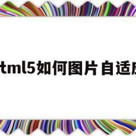 html5如何图片自适应(html5如何设置图片大小)