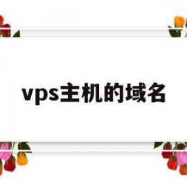 vps主机的域名(国外免费vps主机)