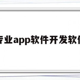 专业app软件开发软件(正规专业软件开发联系方式)