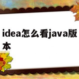 idea怎么看java版本(如何查看idea的jdk版本)