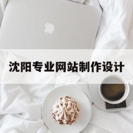 沈阳专业网站制作设计(沈阳专业网站制作设计师招聘)