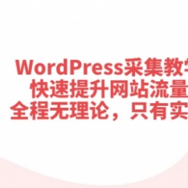 WordPress采集教学，快速提升网站流量：全程无理论，只有实操