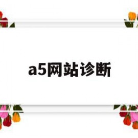 a5网站诊断(seo诊断a5)