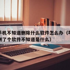 苹果手机不知道删除什么软件怎么办（苹果不小心删了个软件不知道是什么）