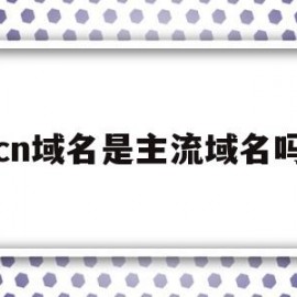 cn域名是主流域名吗(cn是什么类型的域名cn)