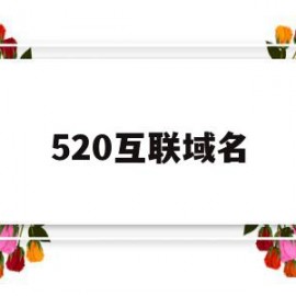 520互联域名(互联网域名交易平台)