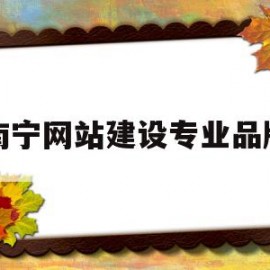 南宁网站建设专业品牌(广西南宁市有公司网站设计)