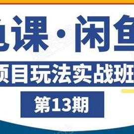 闲鱼项目玩法实战班第13期：从0到N+方法，全程直播 现场演练