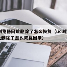 uc浏览器网址删除了怎么恢复（uc浏览器网址删除了怎么恢复回来）