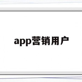 app营销用户(app营销手段有哪些)