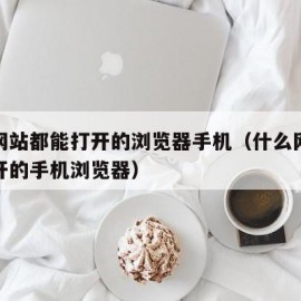 什么网站都能打开的浏览器手机（什么网址都能打开的手机浏览器）