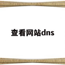 查看网站dns(查看网站dns解析)