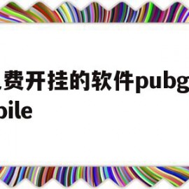 免费开挂的软件pubgmobile(免费开挂的软件棋牌)