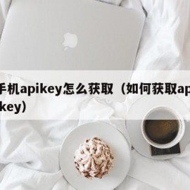 手机apikey怎么获取（如何获取api key）