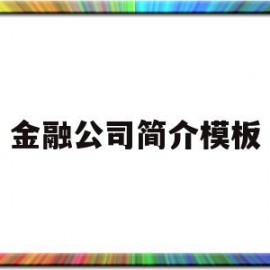 金融公司简介模板(金融公司简介模板图片)