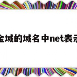 金域的域名中net表示(net域名表示的是什么)